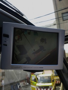 DSC_0271 (480x640)