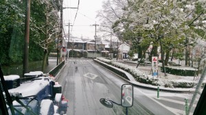DSC_0301 (800x450)