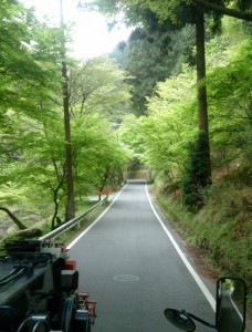 DSC_0063 (488x640)