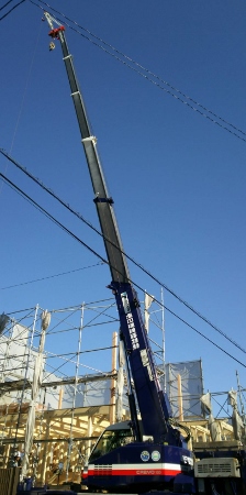 1478090218478 (224x450) (224x450)